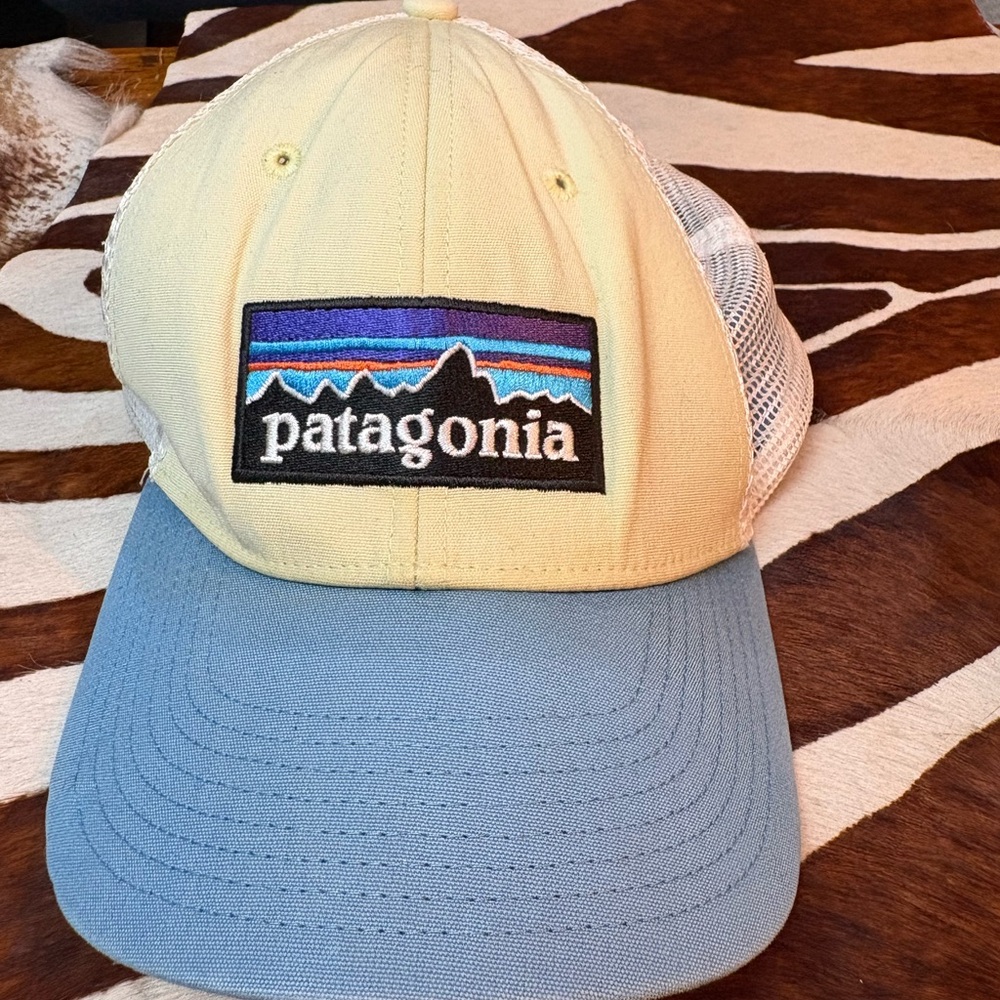Patagonia Cream and Blue Mesh Cap